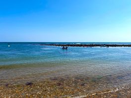 Local beach