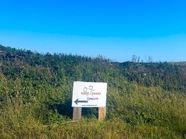Clean signs from the road for camp!