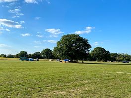 Camping struttons field