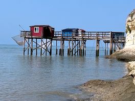 Cabanon pêche carpe