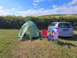 Our pitch