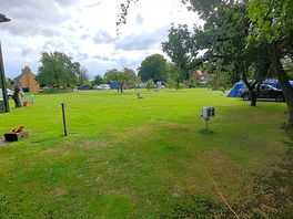 Back field