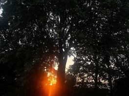 Lovely sunset