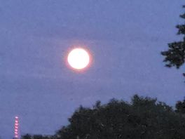 Great view of sunsets and the moon