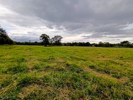Camping meadow