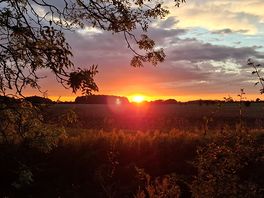 Beautiful sun sets