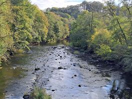 River ayr