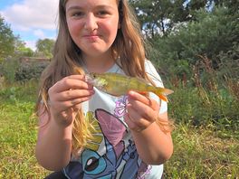 Baileighs first perch
