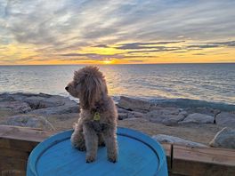 La que más disfruto