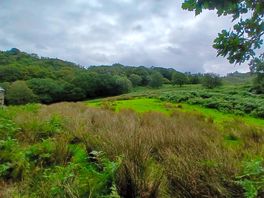 View from site
