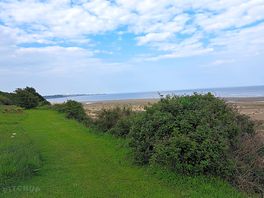 Duin en strand