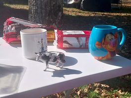 Meet travel cow, goes on holiday with us.