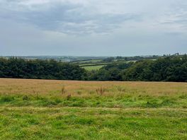 Camping fields