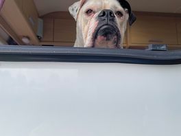 Betty admiring the view