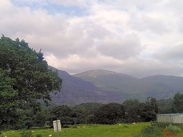 View from one of the fields