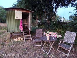 Shepherd's hut