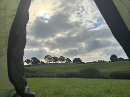 Morning views