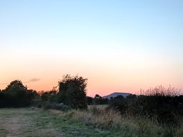 Lovely sunset