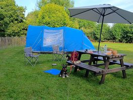 Picnic table a bonus