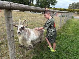 Love the animals.