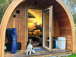 Murphy loving his pod stay!