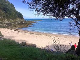 Cove nearby