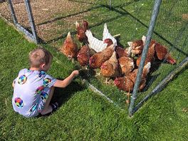 The chicken coop