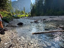 Stream at bottom of campsite