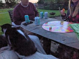 Board games from the campsite, with the farm cat too ❤️