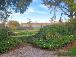 View of the lake