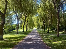 Walk from the campsite
