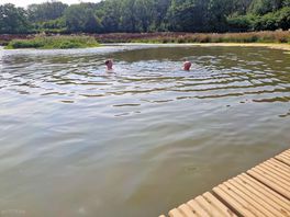 Wild swim