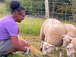 Well the sheep kept her quiet 🤣🥰