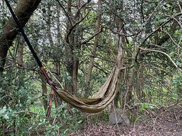 Hammock