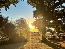 Morning sunrise from the woodland camping area