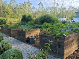 Garden) you can eat from the bushes)