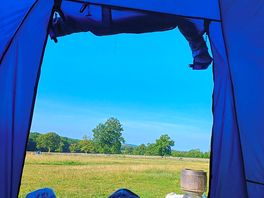 Morning coffee view from bed!