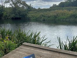 Serenity on the swale