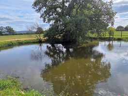 1st pond