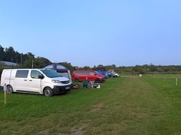 Site