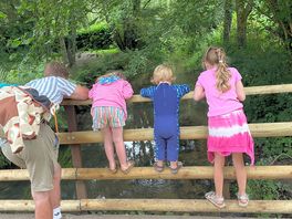 Walking through the dinosaur trail