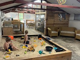 Sand pit okay area amongst the small animals. rabbits. chickens. ducks etc
