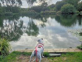 The lovely lake to play in!