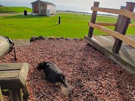 Beautiful sunny november morning