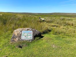 Mosaic trail