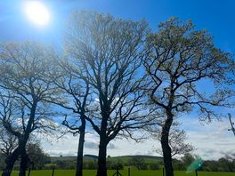 Country views from your pitch