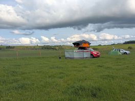 Field