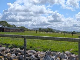 View from site