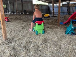 Play barn