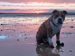 Beautiful sunsets
